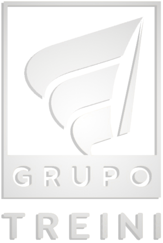 Grupo TREINI
